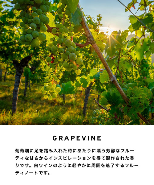 Grapevine｜Non-Alcoholic Perfume｜LAYERED FRAGRANCE レイヤード